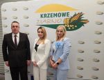 główne zdjęcie